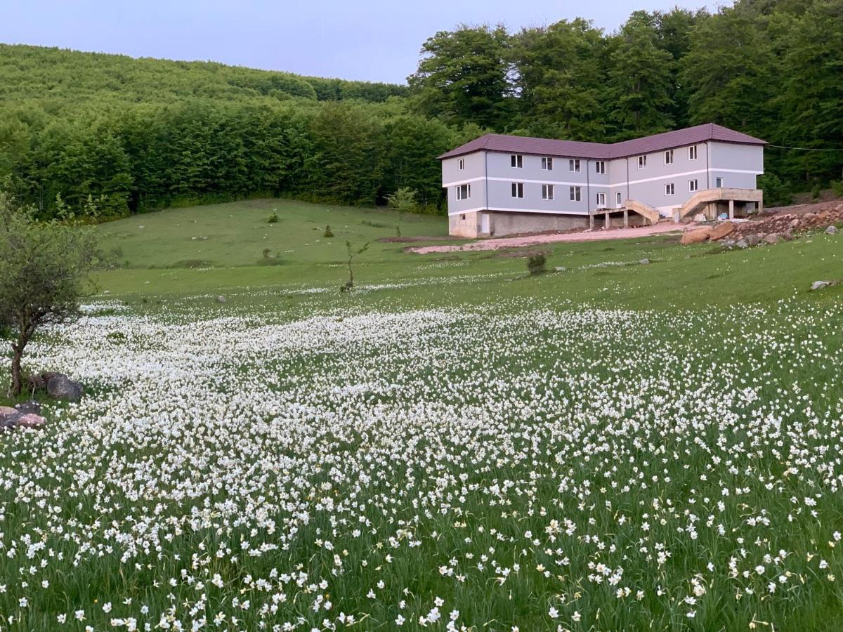 Bujtina Shehu Kukes Exterior foto